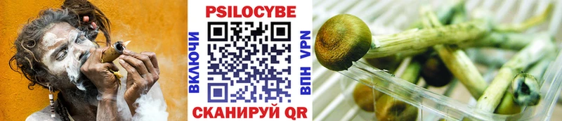 Галлюциногенные грибы GOLDEN TEACHER  даркнет сайт  Мегион 