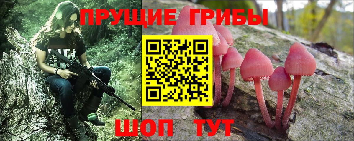 Мегион  закладка  Вход с VPN  Галлюциногенные грибы Cubensis 